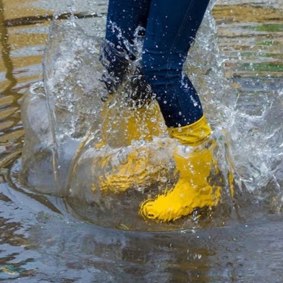 Meet your Posher, Mellie - Picture 1 of 1